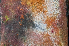 Quiquiriqui-30x30