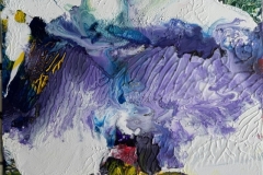 Wonder-and-Delight-VII-14-x-11