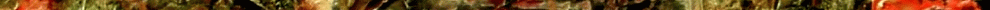 Bottom bar graphic